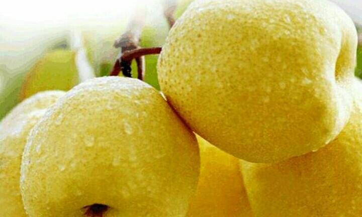 【微店助农】四川一级中果黄柠檬超值1斤/5斤装包邮新鲜水果